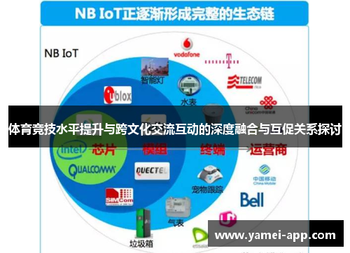 体育竞技水平提升与跨文化交流互动的深度融合与互促关系探讨